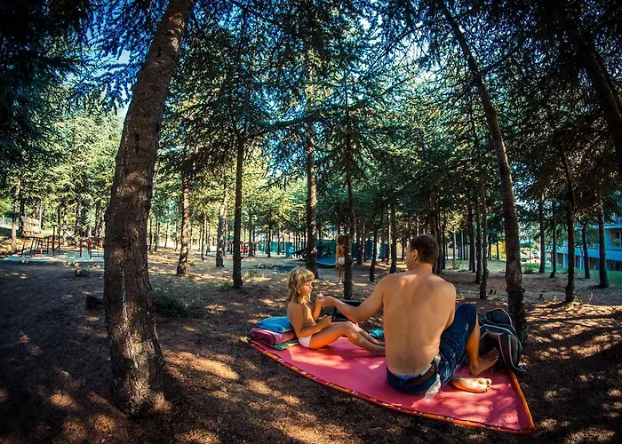 Sea Club Complex Lägenhet Sveti Vlas